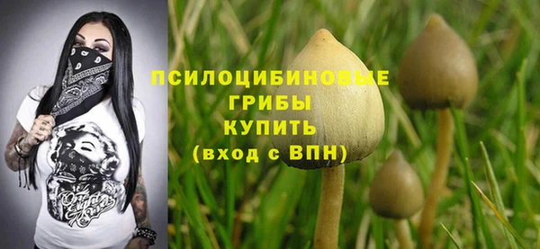 спиды Балабаново
